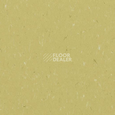 Линолеум Forbo Marmoleum Solid Piano 3634-363435 meadow фото 1 | FLOORDEALER